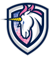 Team Trans Logo